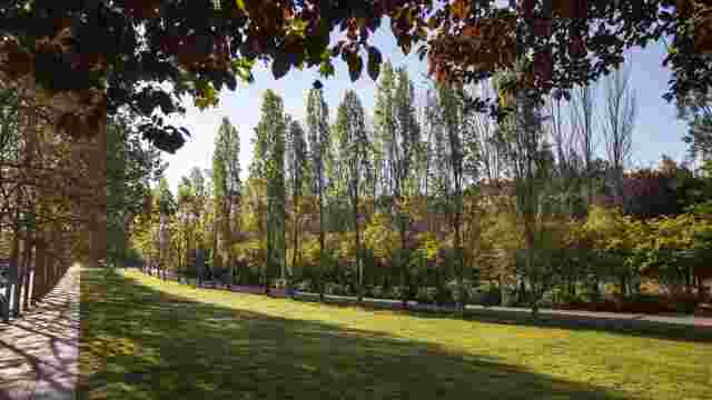Parque Central