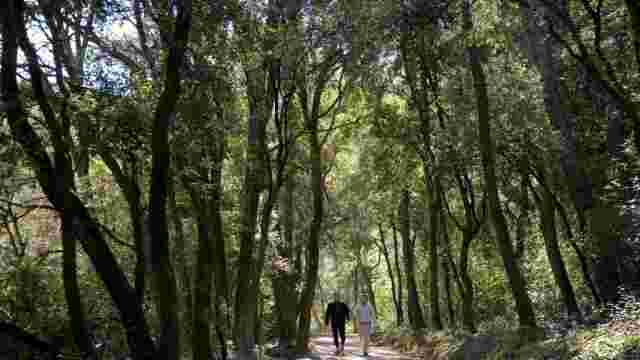 Camino Ignaciano