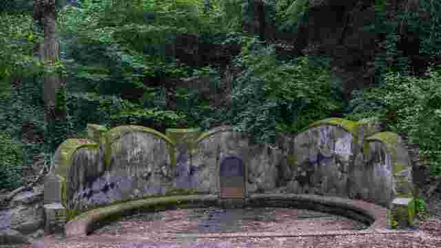 Font Groga