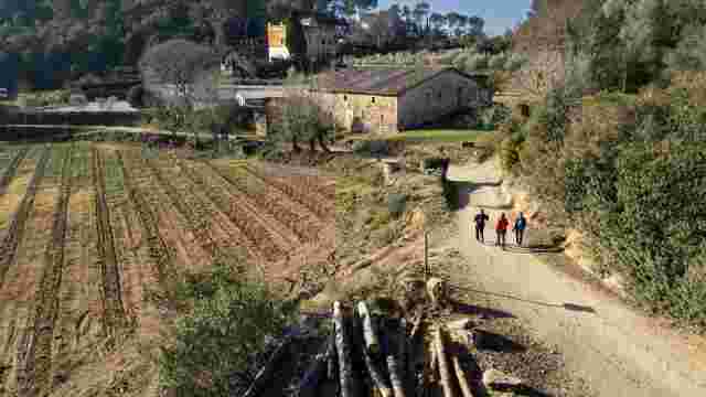 Paseo a la Sierra de Can Bell y al Torrente de Can Gordi