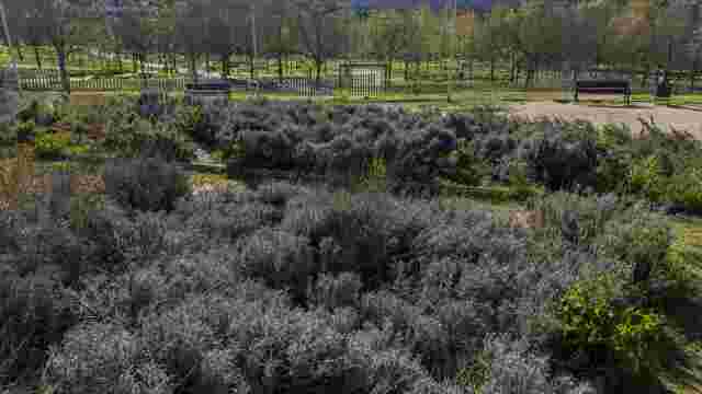 Jardines del Vallès