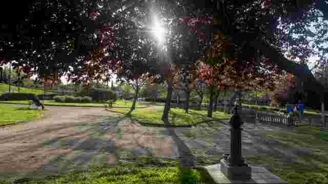 Jardín, bosque y fuente de Can Gatxet