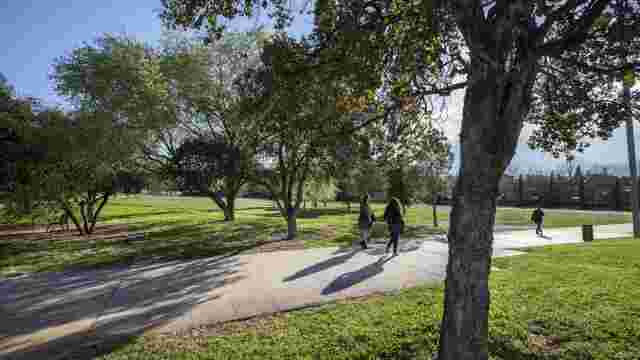 Parque del Arboreto