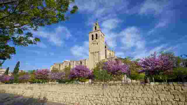 Jardines del Monasterio
