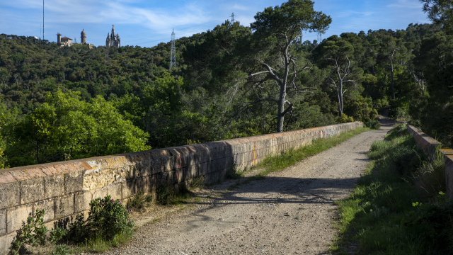 Viaducto de Can Ribes