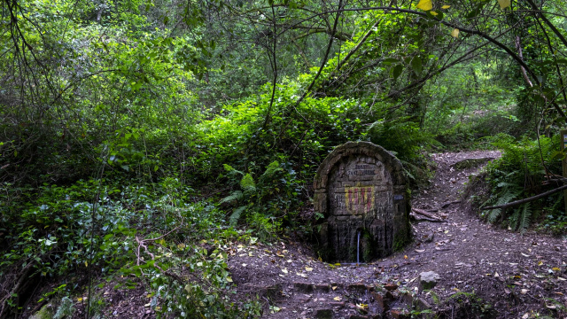Fontaine de Sant Vicenç del Bosc