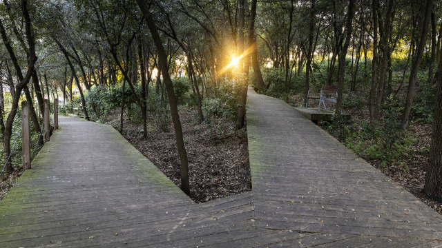 Jardí, bosc i font de Can Gatxet