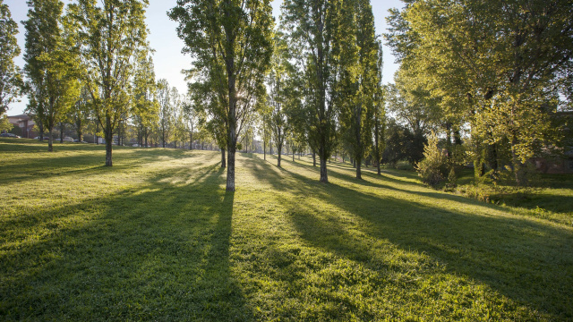Parc de Can Vernet