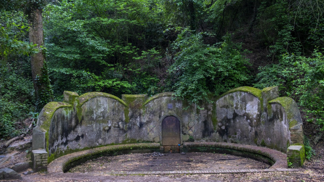 Font Groga