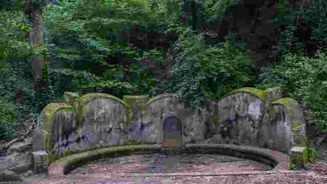 Font Groga