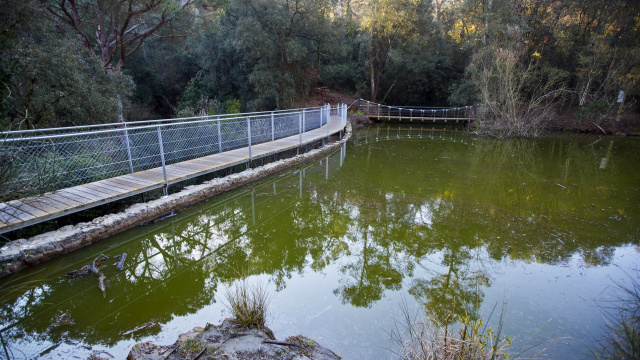 Pantà de Can Borrell