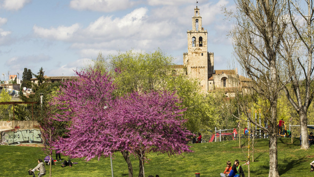 Rutas para familias exploradoras